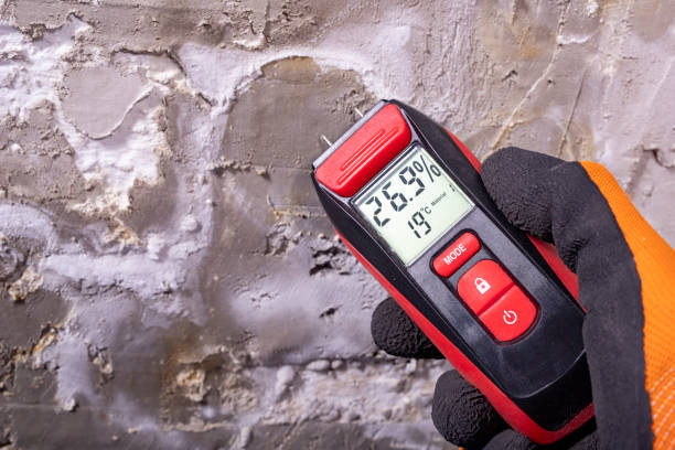 Professional Mold Remediation in Williamsburg, FL