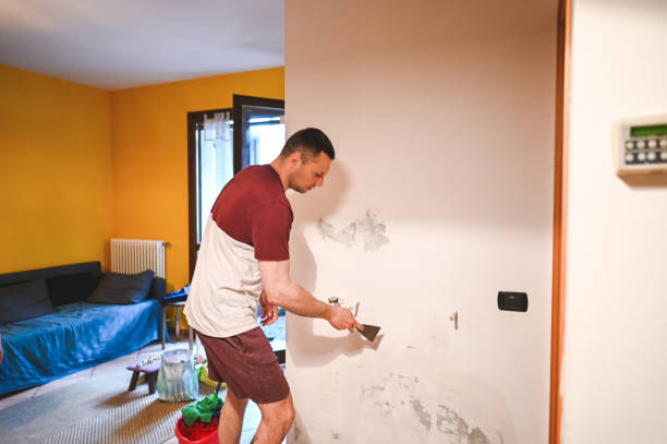 Best Mold Testing and Inspection Services in Williamsburg, FL
